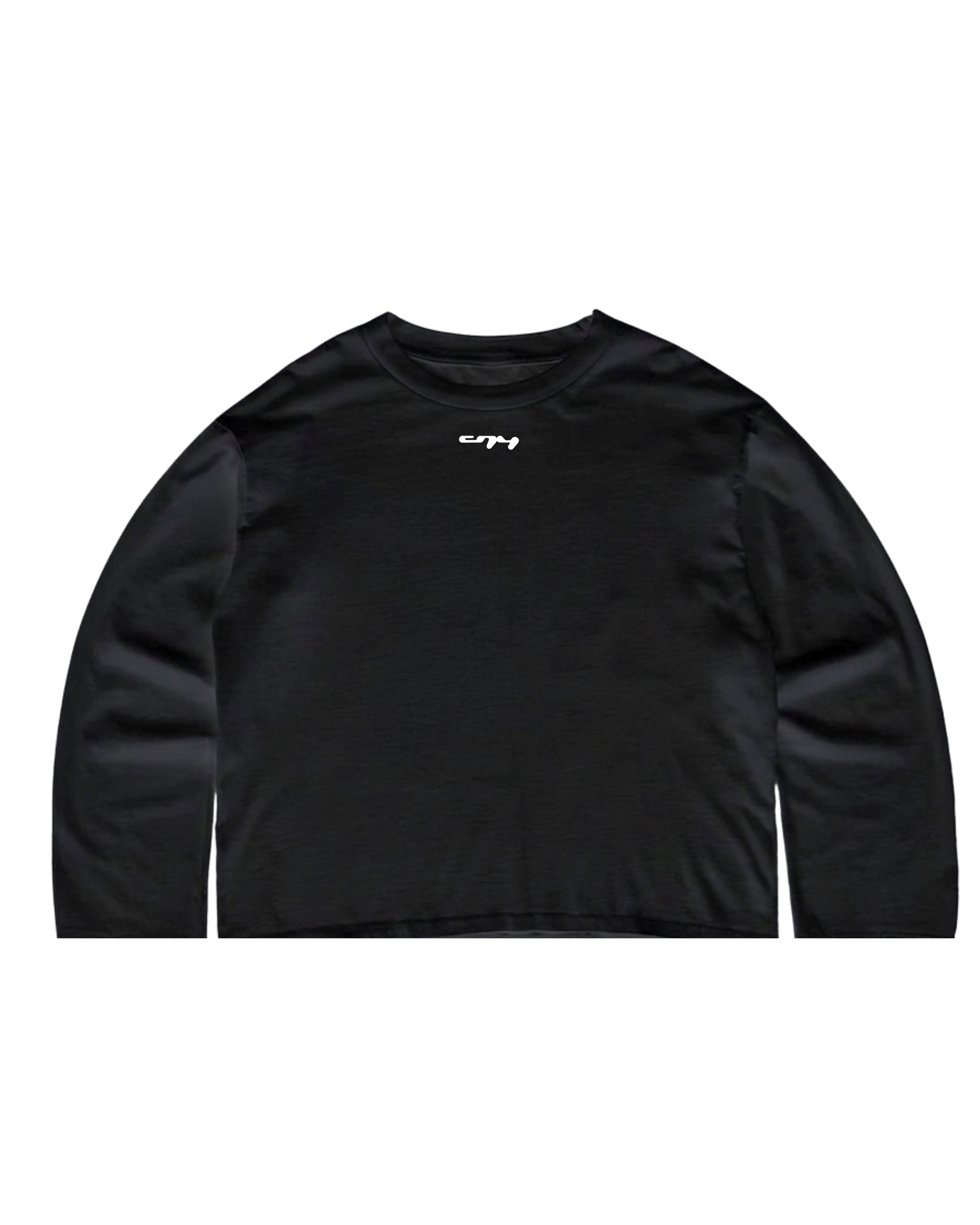 INSEGURIDAD PUBLICA LONG SLEEVE T-SHIRT